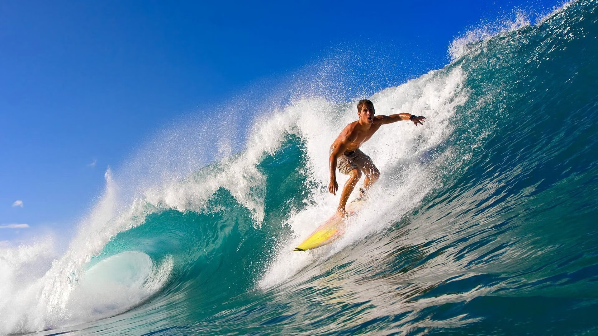 _老鹰队整体表现出色，收获宝贵胜利_，播放老鹰队员